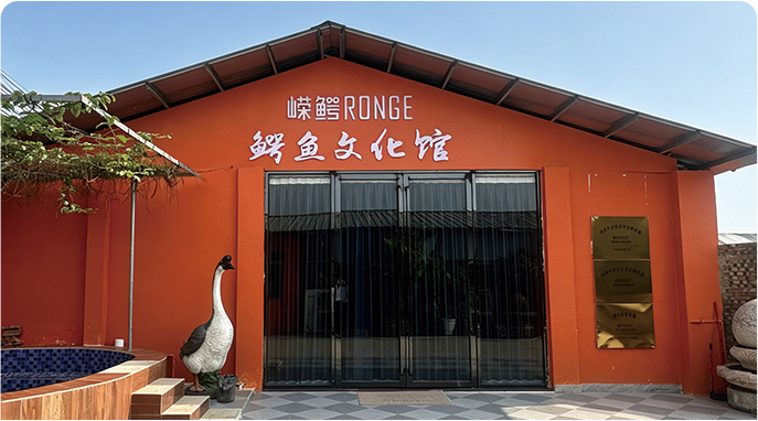 鳄鱼文化馆门头