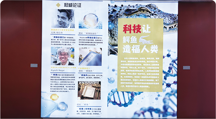 科技展区