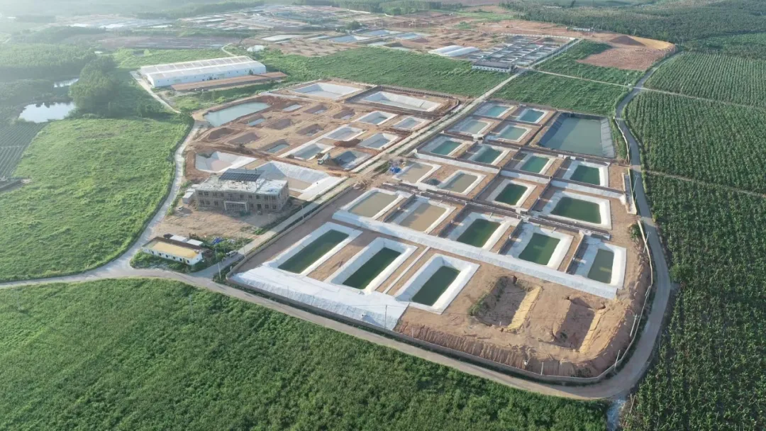 嵘鳄海南养殖基地实景航拍