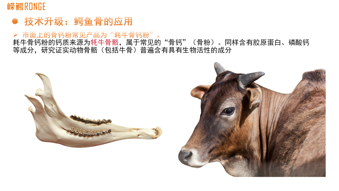 鳄鱼骨与牦牛骨钙对比