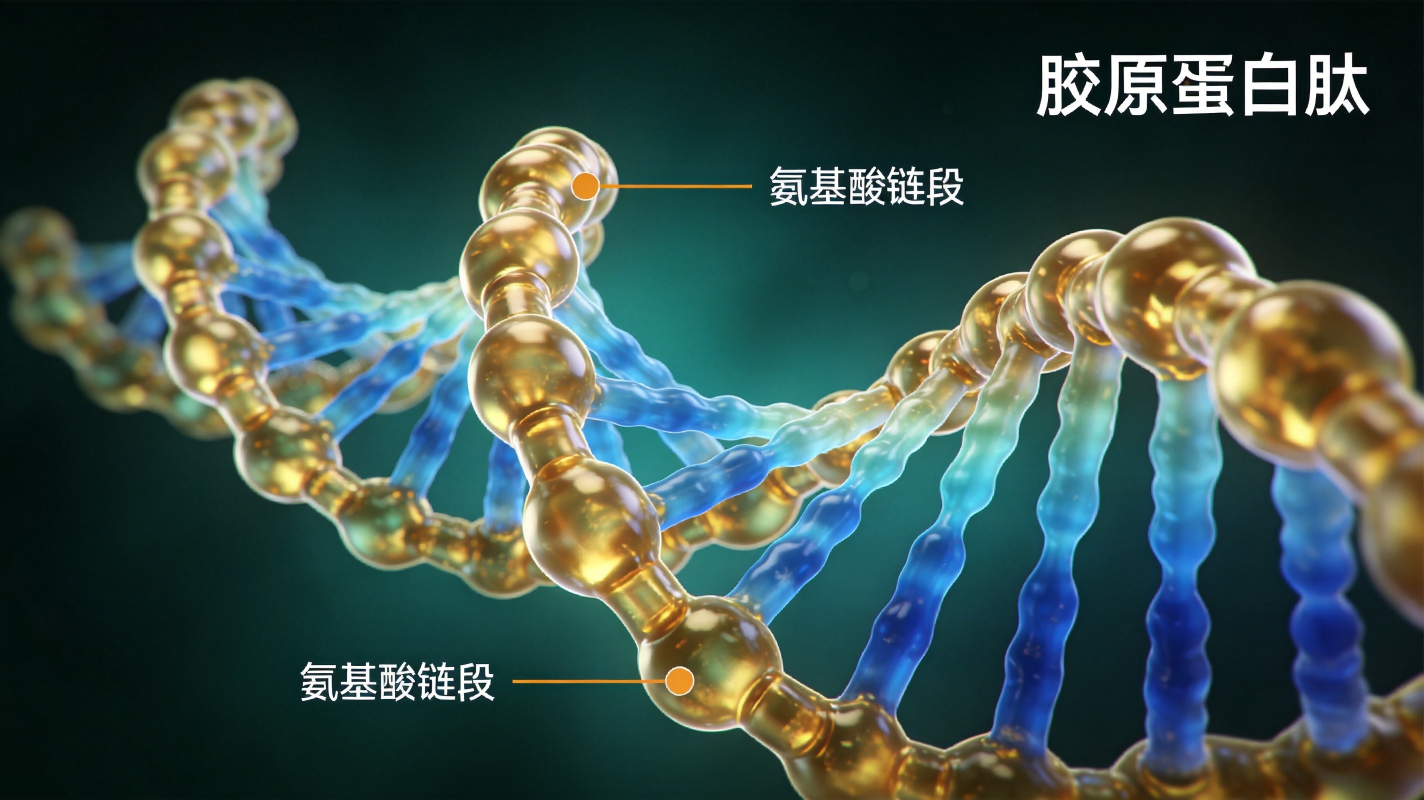 鳄鱼胶原蛋白肽分子结构
